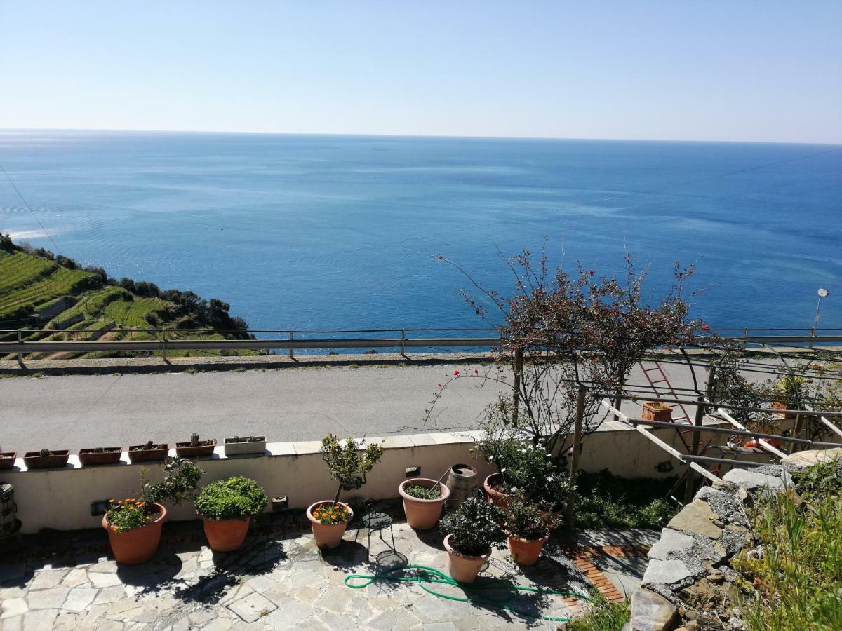 La Serra Sul Mare Monterosso al Mare Exterior foto